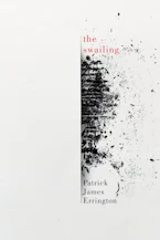 Cover of 'The Swailing' 