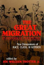 Cover of 'The Great Migration in Historical Perspective' 