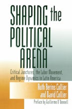 Shaping the Political Arena