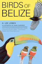 Cover of 'Birds of Belize' 