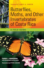 Cover of 'Butterflies, Moths, and Other Invertebrates of Costa Rica' 