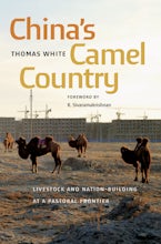 China’s Camel Country