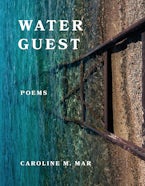Water Guest Water Guest