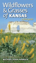 Wildflowers and Grasses of Kansas