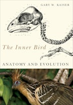 The Inner Bird The Inner Bird