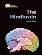 The Hindbrain The Hindbrain