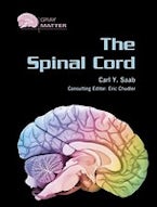 The Spinal Cord The Spinal Cord