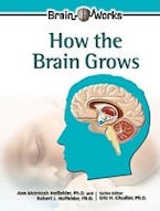 How the Brain Grows How the Brain Grows