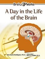 A Day in the Life of the Brain A Day in the Life of the Brain