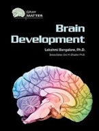 Brain Development Brain Development