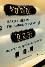 Cover of 'Hard Times in the Lands of Plenty' 