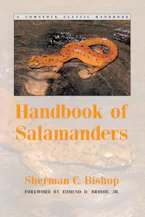 Cover of 'Handbook of Salamanders' 