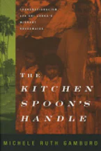Cover of 'The Kitchen Spoons Handle' 