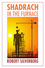 Cover of 'Shadrach in the Furnace' 