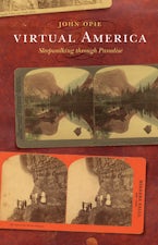Virtual America