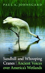Sandhill and Whooping Cranes