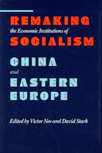 Cover of 'Remaking the Economic Institutions of Socialism' 