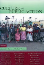 Culture and Public Action