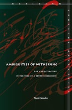 Ambiguities of Witnessing
