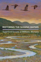 Restoring the Shining Waters