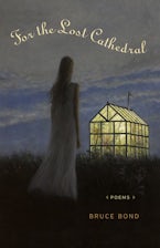 For the Lost Cathedral