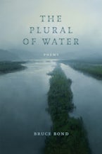 The Plural of Water