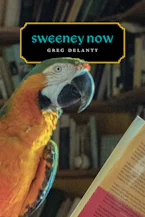 Cover of 'Sweeney Now' 