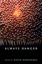 Always Danger Always Danger