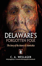 Cover of 'Delawares Forgotten Folk' 