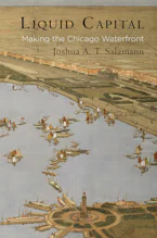 Cover of 'Liquid Capital' by Joshua A. T. Salzmann 