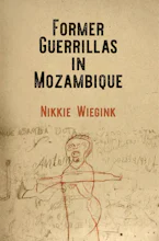 Cover of 'Former Guerrillas in Mozambique' by Nikkie Wiegink 