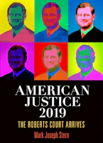 Cover of 'American Justice 2019' by Mark Joseph Stern 