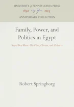 Cover of 'Family, Power, and Politics in Egypt' by Robert Springborg 