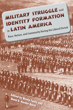 Cover of 'Military Struggle and Identity Formation in Latin America' 