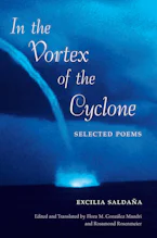 Cover of 'In the Vortex of the Cyclone' 