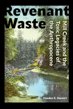 Cover of 'Revenant Waste' 