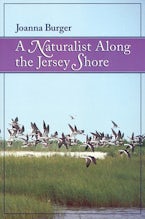 A Naturalist Along the Jersey Shore