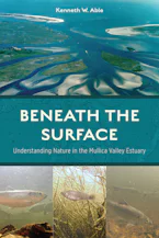 Cover of 'Beneath the Surface' 