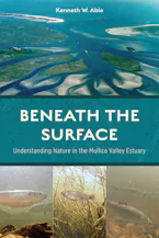 Cover of 'Beneath the Surface' 