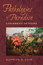 Cover of 'Pathologies of Paradise' 