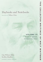 Daybooks and Notebooks: Volume III