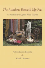 Cover of 'The Rainbow Beneath My Feet' by Alan E. Bessette 
