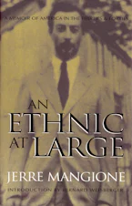 Cover of 'An Ethnic at Large' 