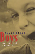 Cover of 'Boys' 