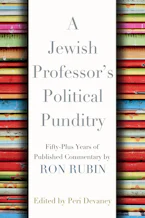Cover of 'A Jewish Professors Political Punditry' by Ron Rubin and Peri Devaney 