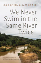 Cover of 'We Never Swim in the Same River Twice' 