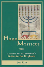 Cover of 'Homo Mysticus' by José Faur 