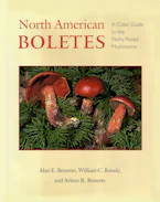 Cover of 'North American Boletes' 