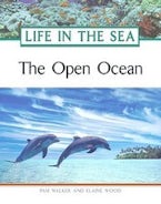 The Open Ocean The Open Ocean