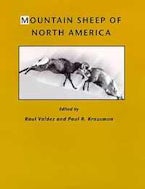 Mountain Sheep of North America Mountain Sheep of North America